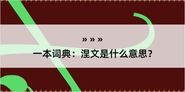 一本词典：涅文是什么意思？