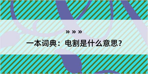 一本词典：电割是什么意思？