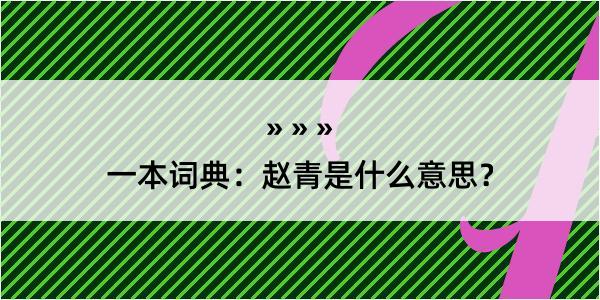 一本词典：赵青是什么意思？