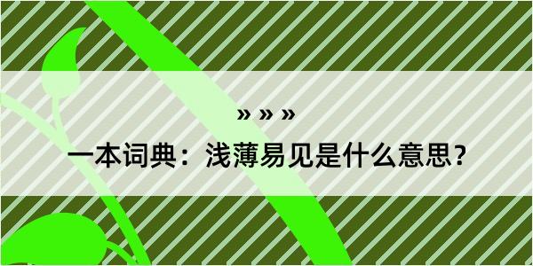 一本词典：浅薄易见是什么意思？