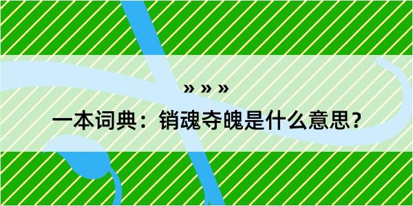 一本词典：销魂夺魄是什么意思？