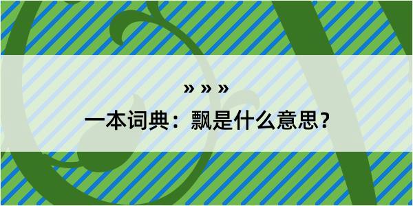 一本词典：飘是什么意思？