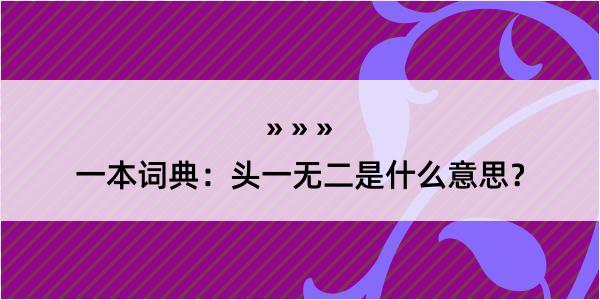 一本词典：头一无二是什么意思？