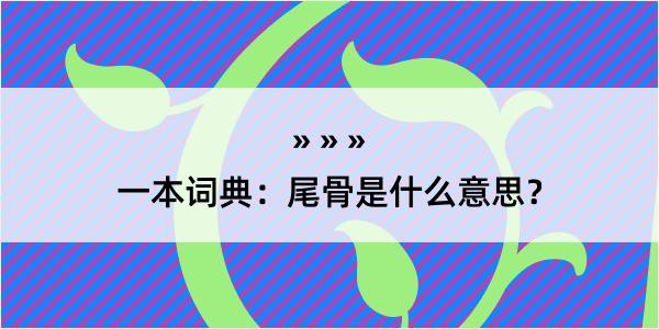 一本词典：尾骨是什么意思？