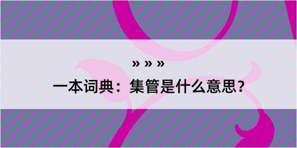 一本词典：集管是什么意思？