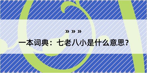 一本词典：七老八小是什么意思？