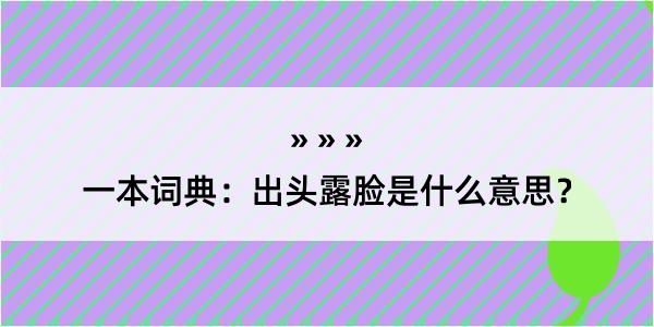 一本词典：出头露脸是什么意思？