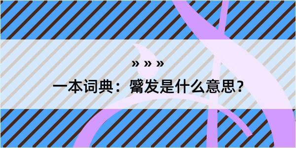 一本词典：觱发是什么意思？