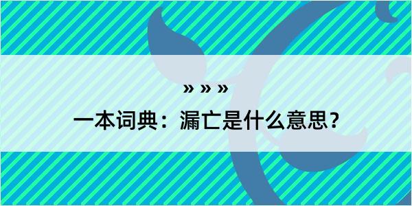 一本词典：漏亡是什么意思？