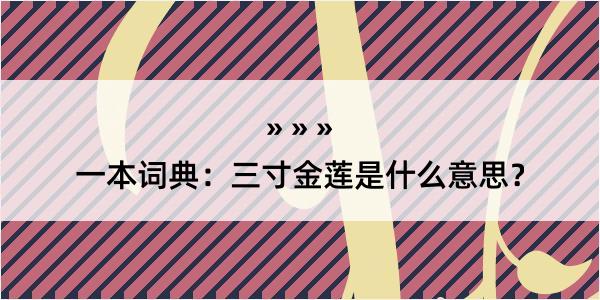 一本词典：三寸金莲是什么意思？