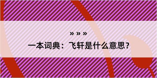 一本词典：飞轩是什么意思？