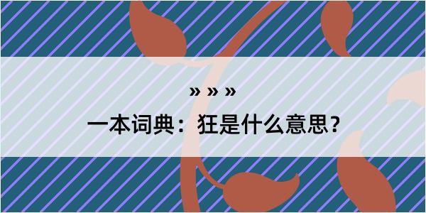 一本词典：狂是什么意思？