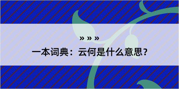 一本词典：云何是什么意思？