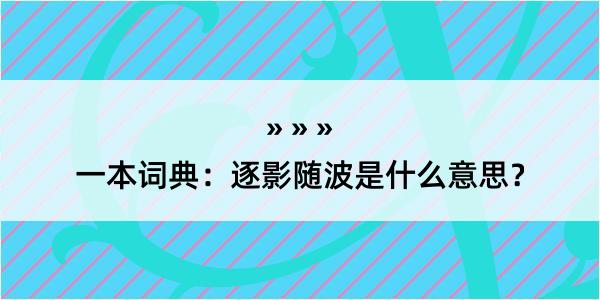 一本词典：逐影随波是什么意思？