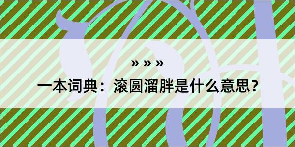 一本词典：滚圆溜胖是什么意思？