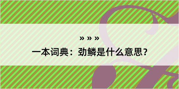 一本词典：劲鳞是什么意思？