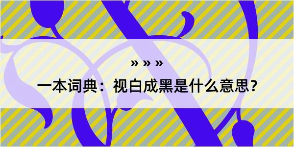 一本词典：视白成黑是什么意思？