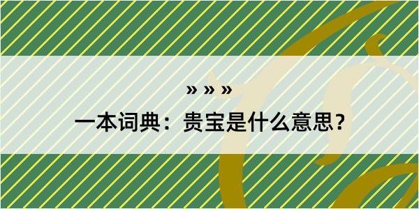 一本词典：贵宝是什么意思？