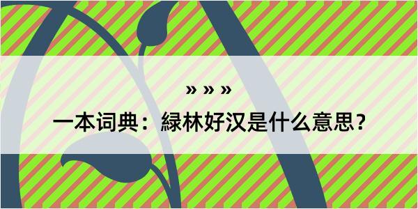 一本词典：緑林好汉是什么意思？