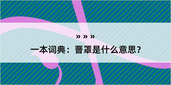 一本词典：罾罩是什么意思？