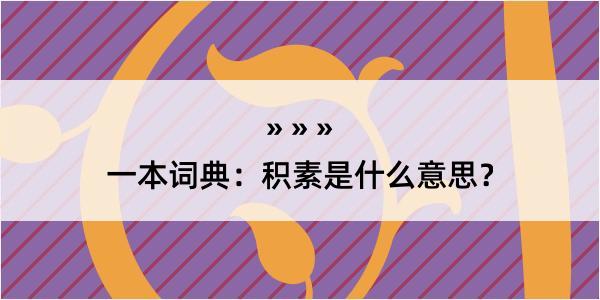 一本词典：积素是什么意思？