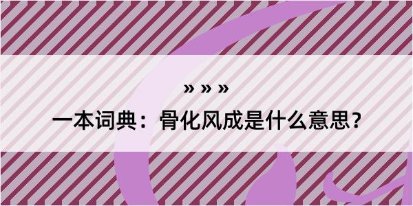 一本词典：骨化风成是什么意思？