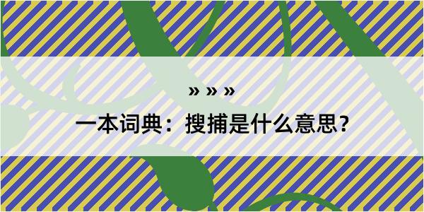 一本词典：搜捕是什么意思？