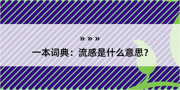 一本词典：流感是什么意思？