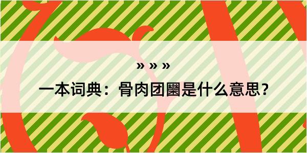 一本词典：骨肉团圞是什么意思？