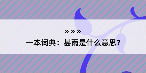 一本词典：甚雨是什么意思？