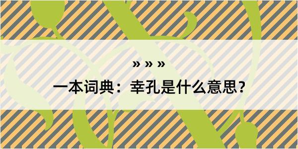 一本词典：幸孔是什么意思？