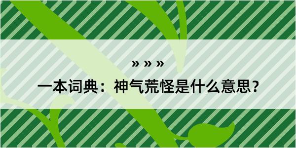 一本词典：神气荒怪是什么意思？