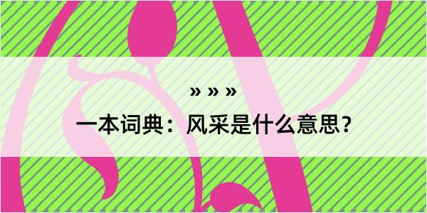 一本词典：风采是什么意思？