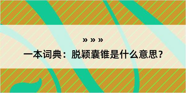 一本词典：脱颖囊锥是什么意思？