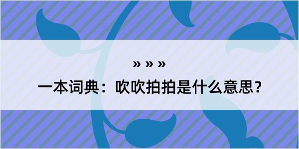 一本词典：吹吹拍拍是什么意思？