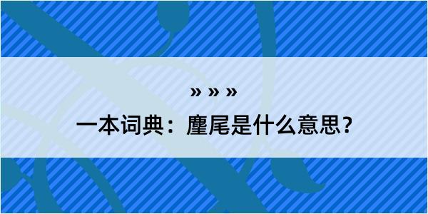 一本词典：麈尾是什么意思？