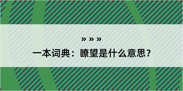 一本词典：瞭望是什么意思？