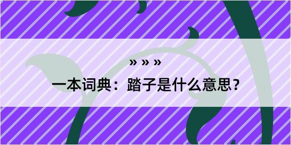 一本词典：踏子是什么意思？