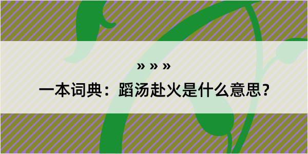 一本词典：蹈汤赴火是什么意思？