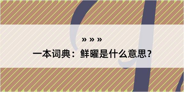 一本词典：鲜曜是什么意思？