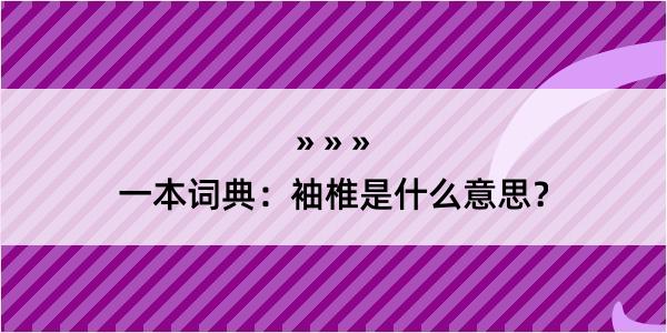 一本词典：袖椎是什么意思？