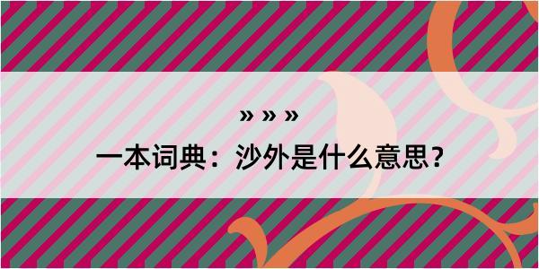 一本词典：沙外是什么意思？