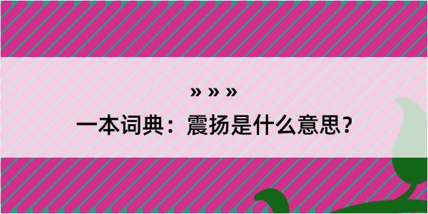 一本词典：震扬是什么意思？