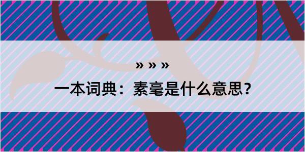 一本词典：素毫是什么意思？