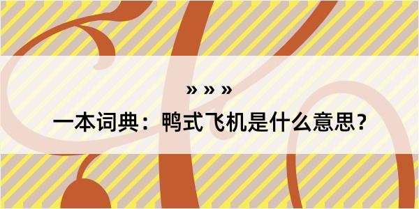 一本词典：鸭式飞机是什么意思？