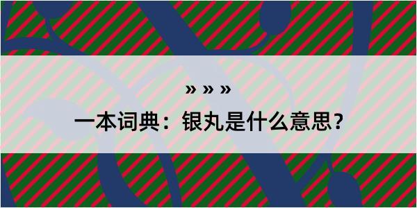 一本词典：银丸是什么意思？