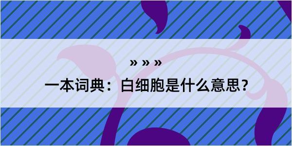 一本词典：白细胞是什么意思？