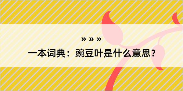 一本词典：豌豆叶是什么意思？