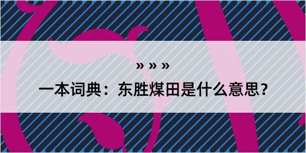 一本词典：东胜煤田是什么意思？