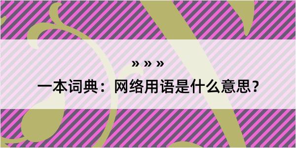 一本词典：网络用语是什么意思？